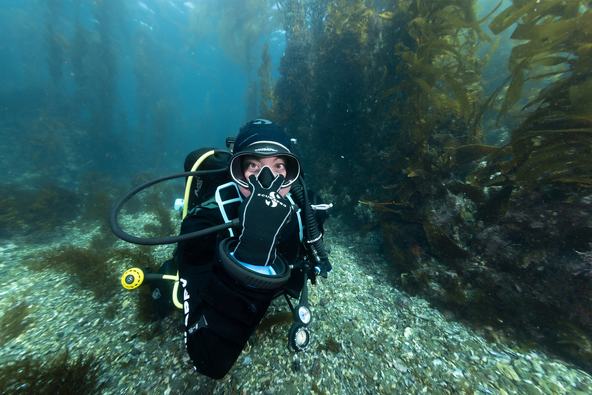 Check It Out Scuba Hand Signal