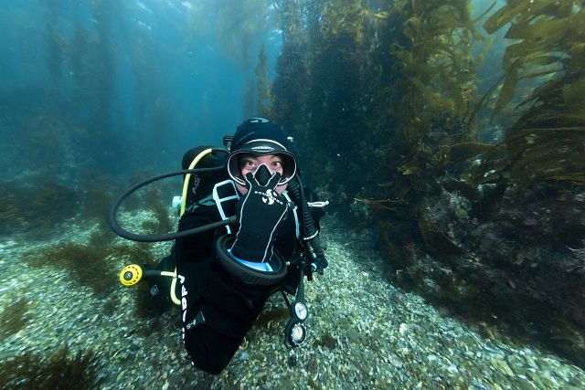 Check It Out Scuba Hand Signal