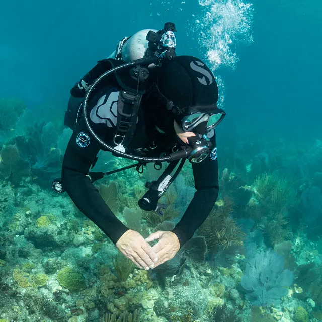 67112X00_Everflex_Hood_3mm_90812