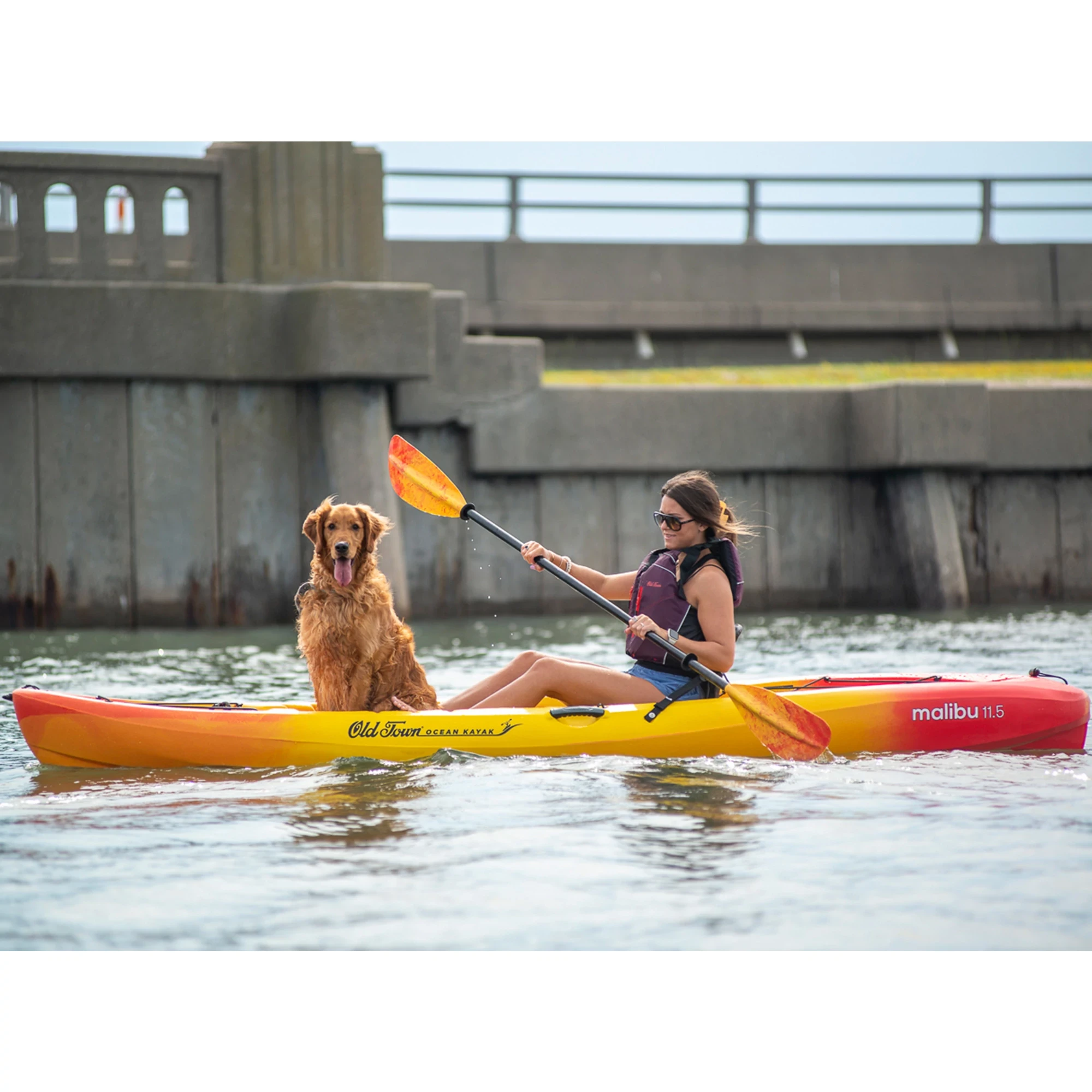 Woman with dog paddling in Old Town Ocean Kayak Malibu 11.5 Kayak