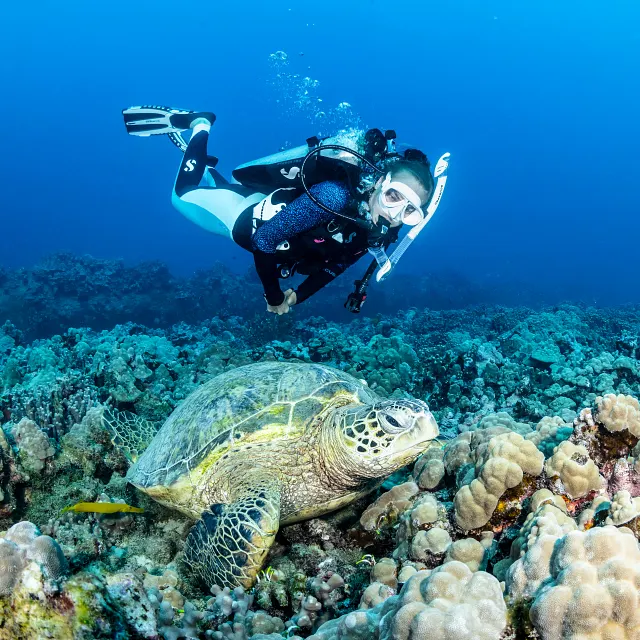 Zoom Lite Dive Mask, White