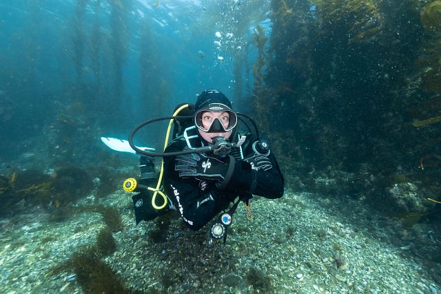 I'm Cold Scuba Hand Signal