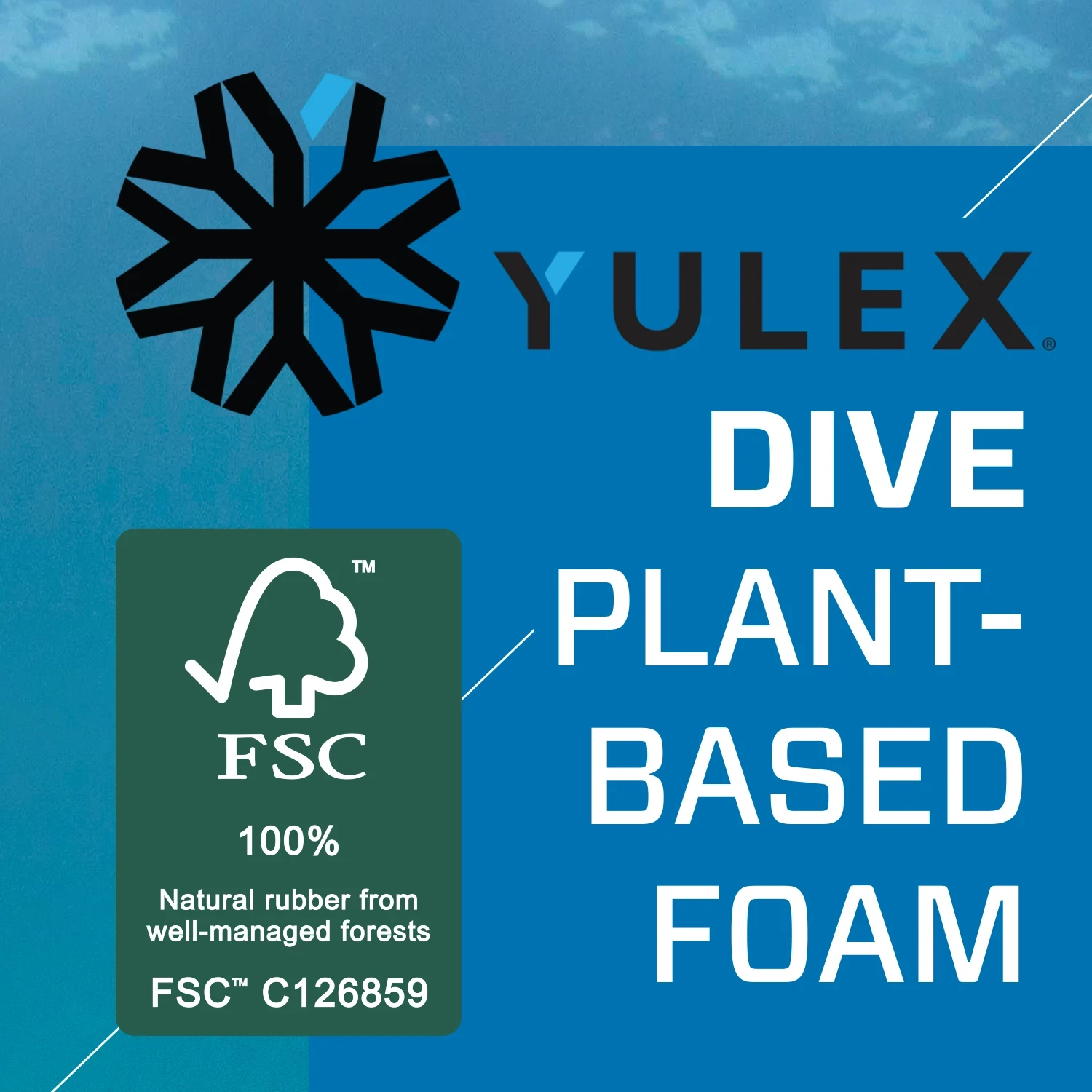 Everflex YULEX® Dive