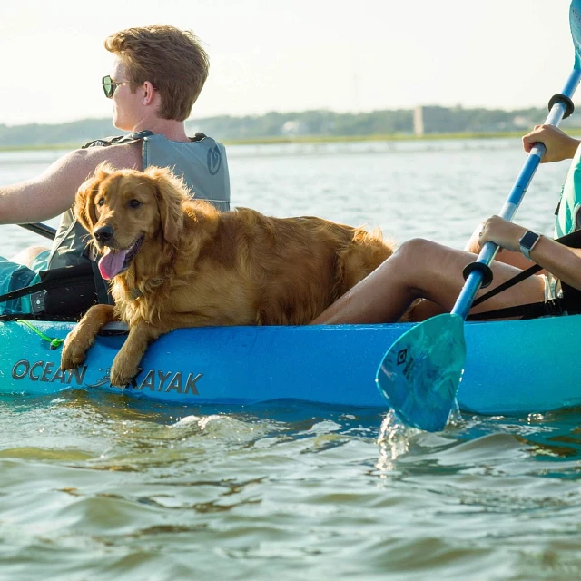 Magic Mystic Paddle