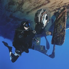 Professional Services diver