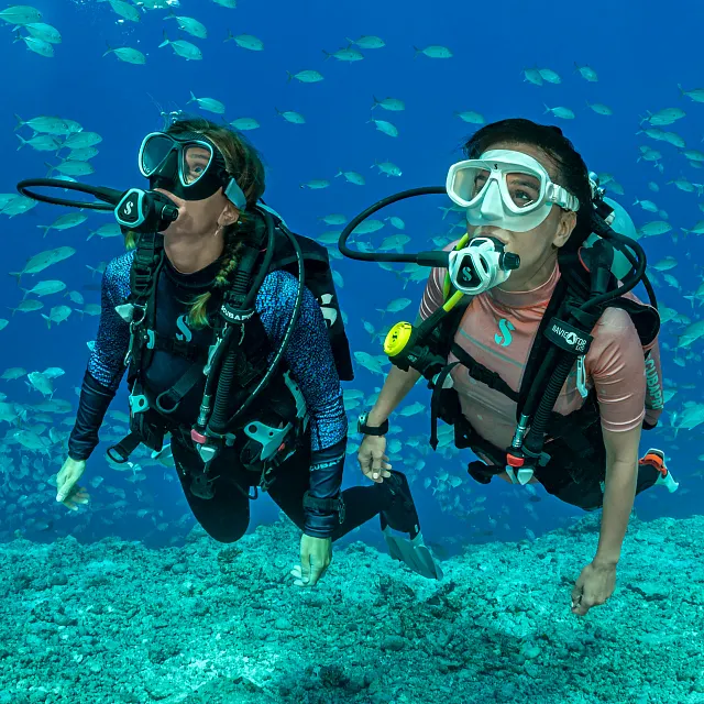 Deux plongeurs sous‑marins utilisent des détendeurs de plongée SCUBAPRO C370 en nageant au‑dessus d’un récif corallien entouré de poissons.
