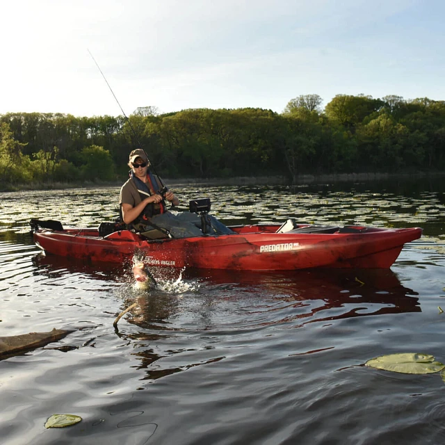 Predator MK Angler - Black Cherry