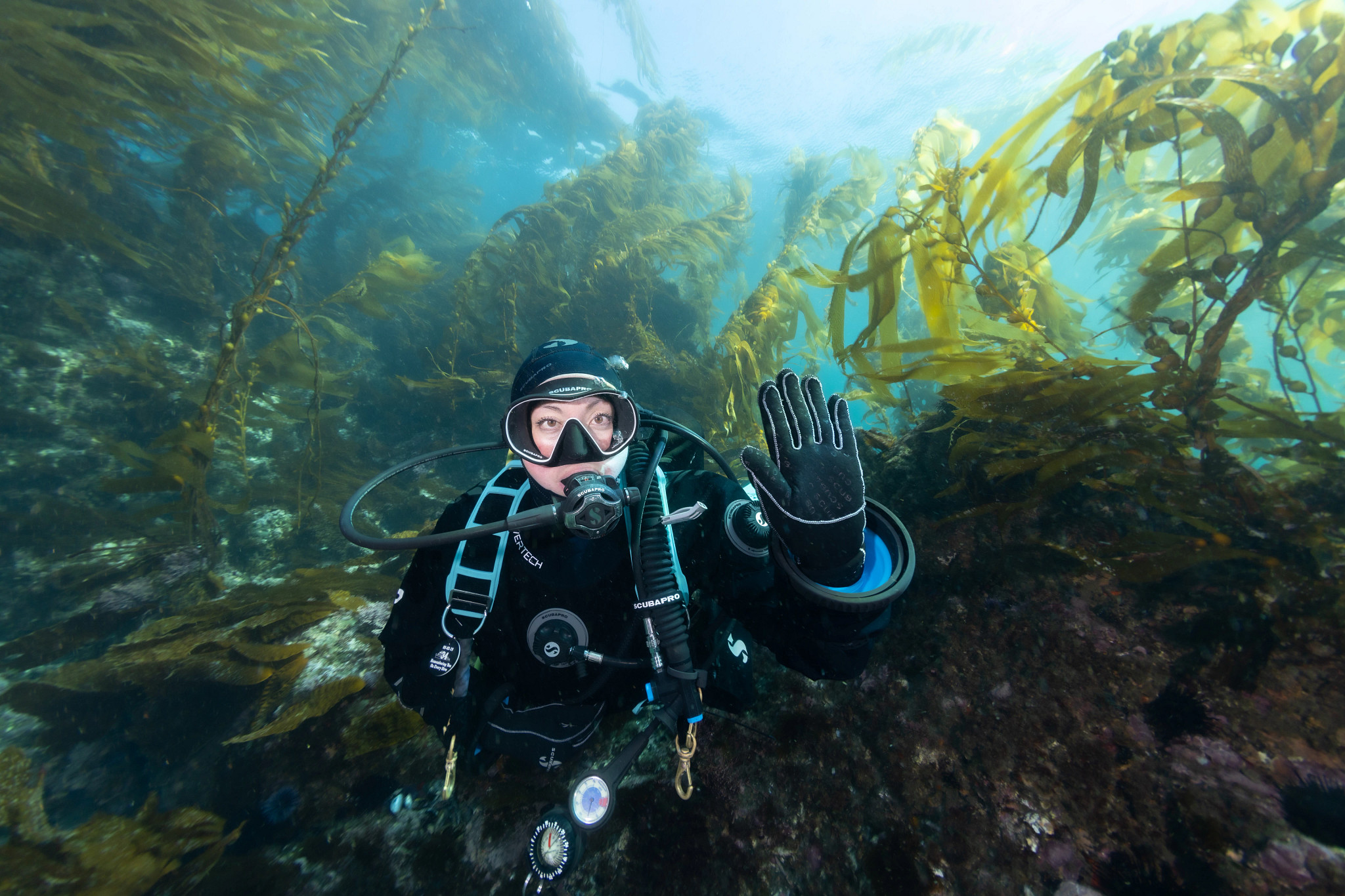 Stop/Hold Scuba Hand Signal