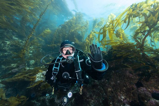 Stop/Hold Scuba Hand Signal