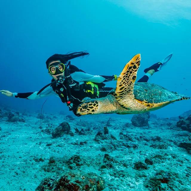 S600 Dive Regulator - Scuba Diving with Sea Turtle