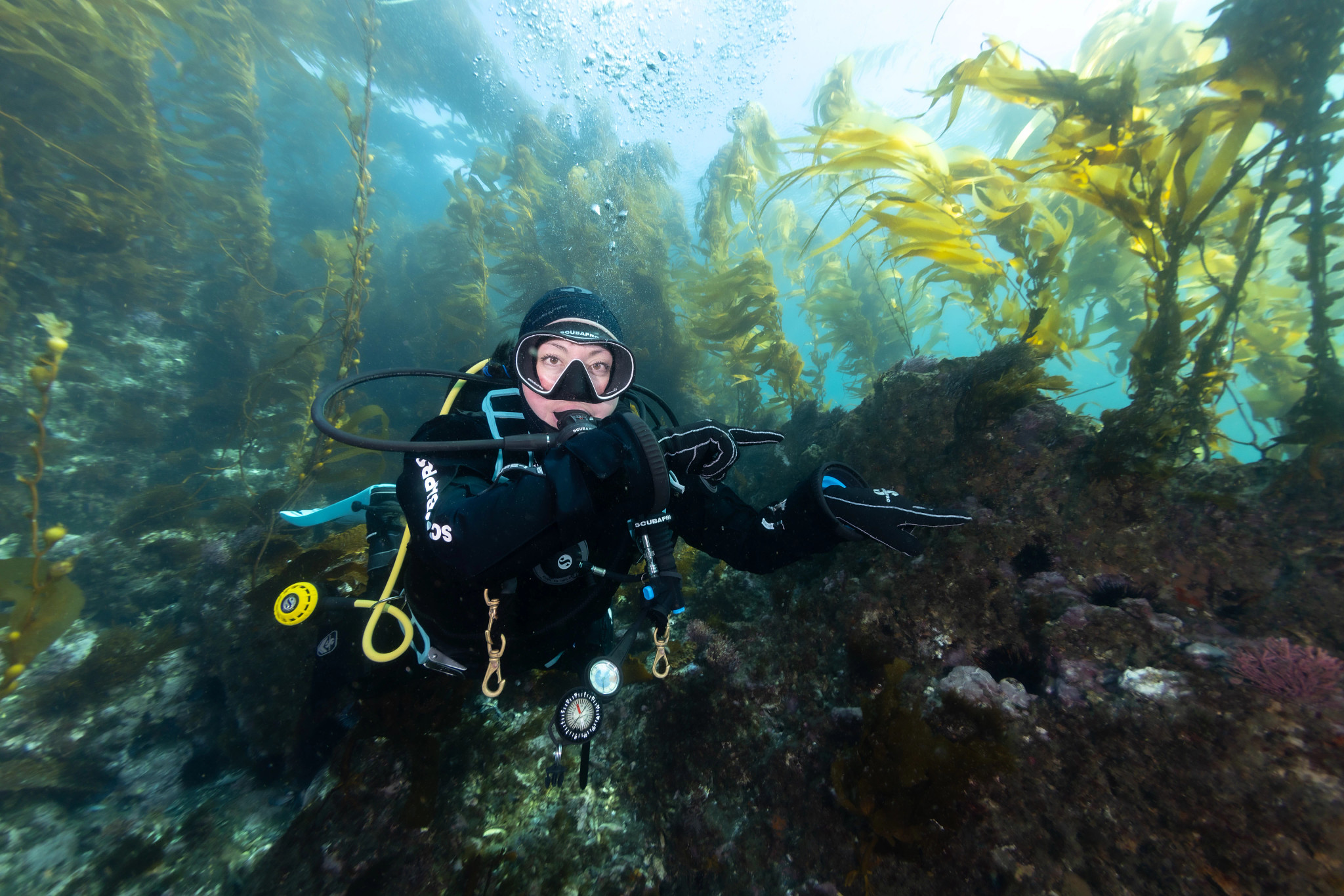 Follow Me Scuba Hand Signal