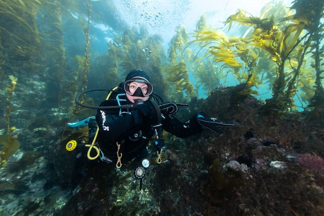 Follow Me Scuba Hand Signal