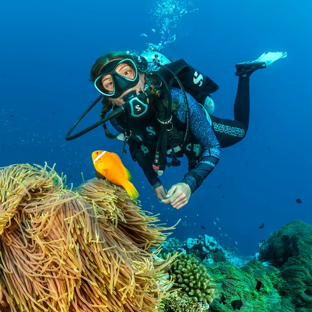 Un plongeur utilise un détendeur de plongée SCUBAPRO C370 sous l’eau tout en observant un poisson orange vif près d’une anémone de mer sur un récif corallien.
