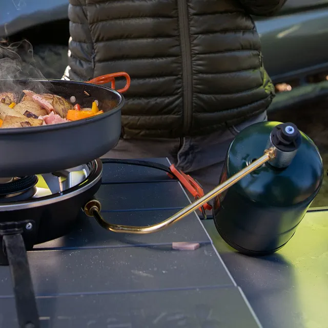 Fuel Regulator - HalfGen - Insitu 01