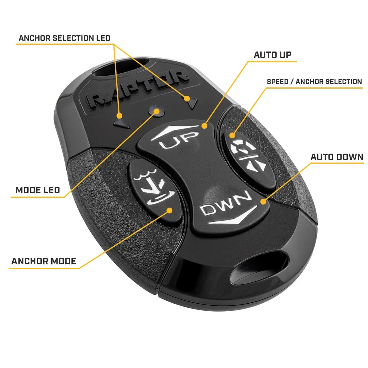 Raptor remote with feature callouts