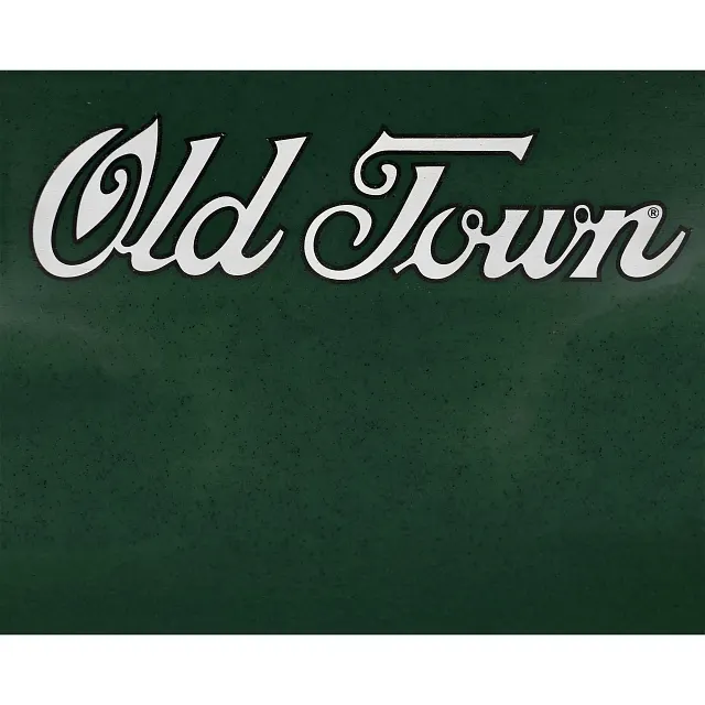 Closeup of black specs on canoe