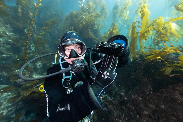 Safety Stop Scuba Hand Signal