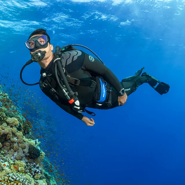 Hydros Pro 2 BCD, W/BPI