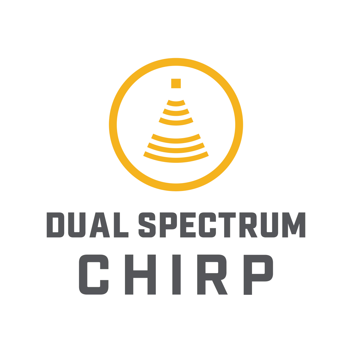 Dual Spectrum CHIRP